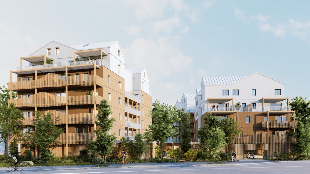   Angers (49000)